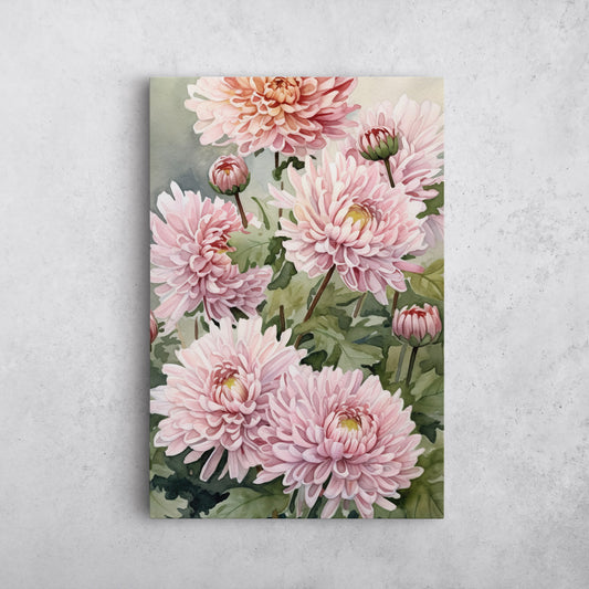 Chrysanthemum Watercolor – Pink Floral Botanical Art