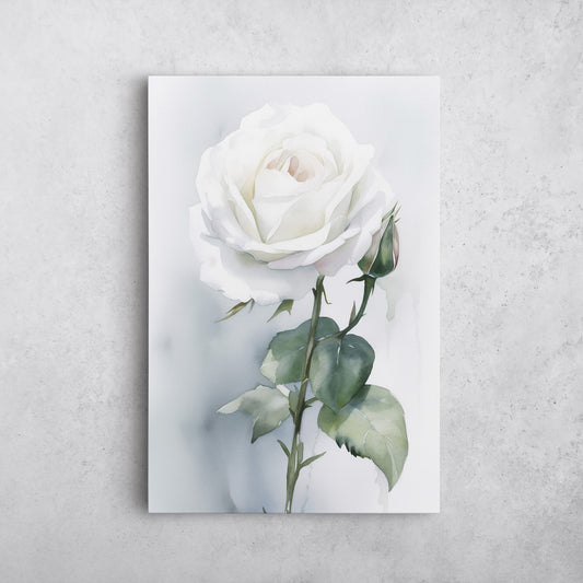 Rose Watercolor – White Floral Botanical Art